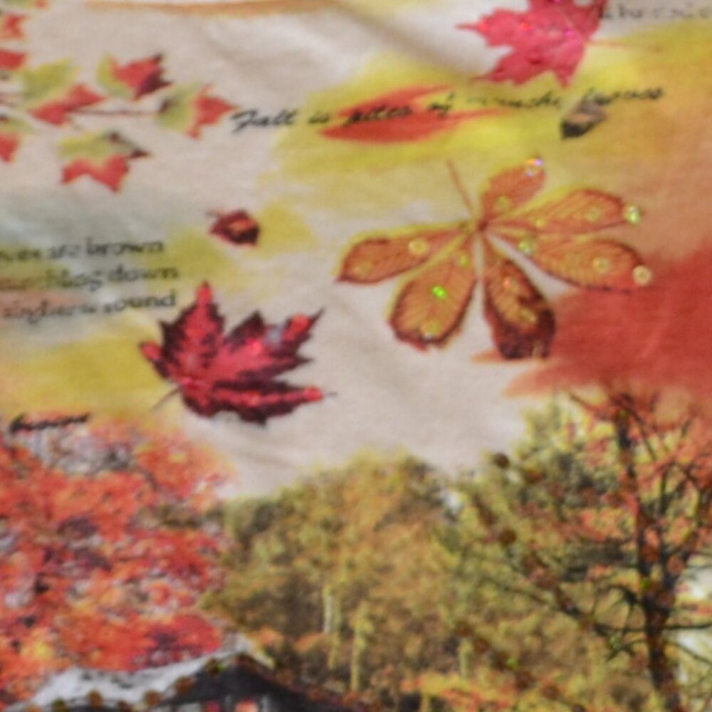 Womens Fall blouse - Picture 10 of 11